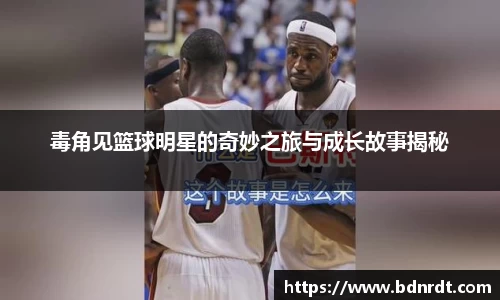 德赢AC米兰合作伙伴